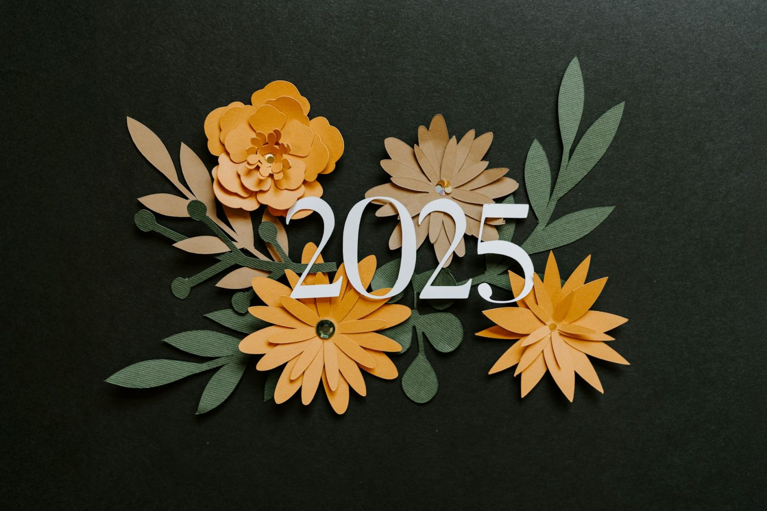 2025 decorative floral graphic symbolizing Sisel ’s year-end growth, achievements, and transition into a new year of wellness and innovation.